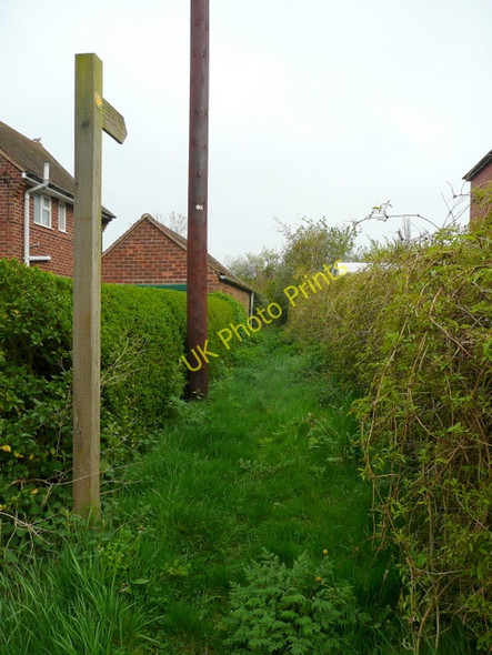 Photo 6"x4" Footpath from Cadney Road, Howsham Howsham\/TA0404 c2009