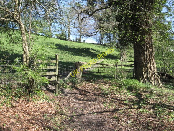 Photo 6"x4" Stile out of Cascade Wood Tafarn-y-Gelyn c2009