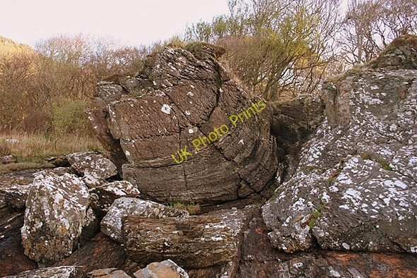 Photo 6"x4" Folded Strata Arduaine c2009