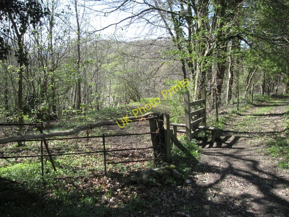 Photo 6"x4" Stile into Cascade Wood Tafarn-y-Gelyn c2009