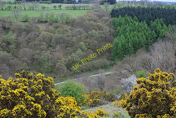 Photo 6"x4" Cwm of the Ffernant Commins Coch c2009