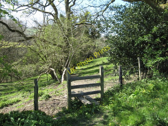Photo 6"x4" Stile and footpath to Cascade Wood Tafarn-y-Gelyn c2009