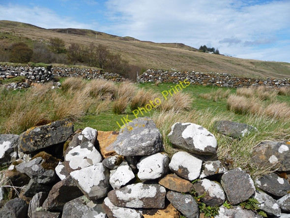 Photo 6"x4" Sheepfold at Rigg Rigg\/NG5156 c2009
