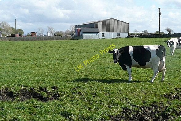 Photo 6"x4" Ballynamanagh West Kilcolgan c2009 P1