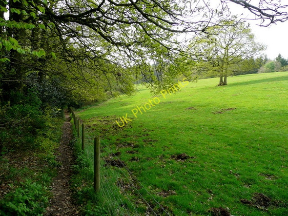 Photo 6"x4" Delightful footpath along the woodland edge Ross-on-Wye c2009