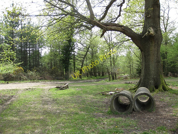 Photo 6"x4" Culvert pipes in forest clearing Cinderford c2009