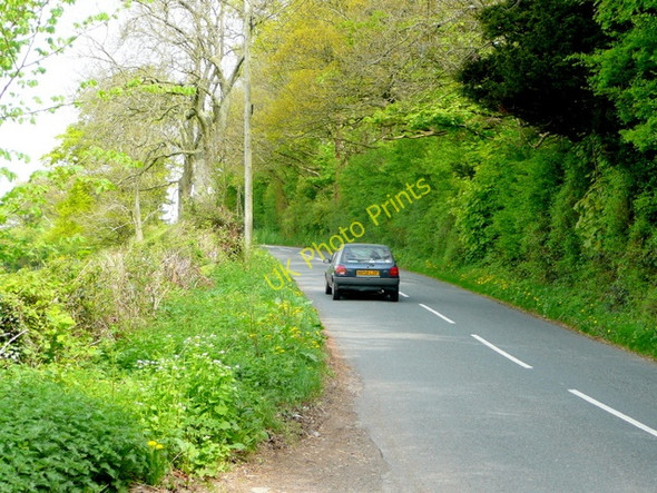 Photo 6"x4" Road to Aston Crews Boxbush\/SO6720 c2009