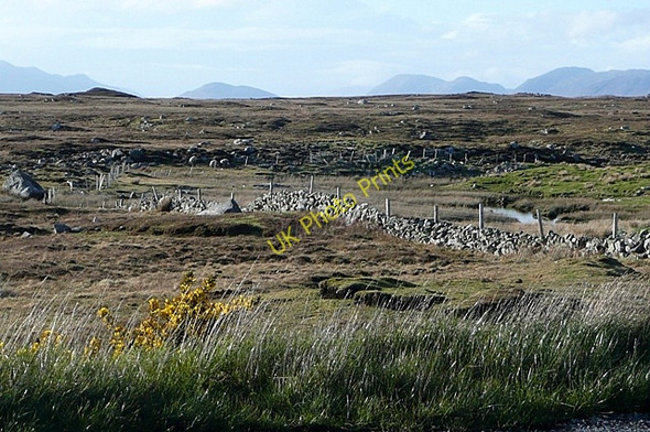 Photo 6"x4" Leitir Muc\u00c3\u00ba (Lettermuckoo) Costelloe c2009