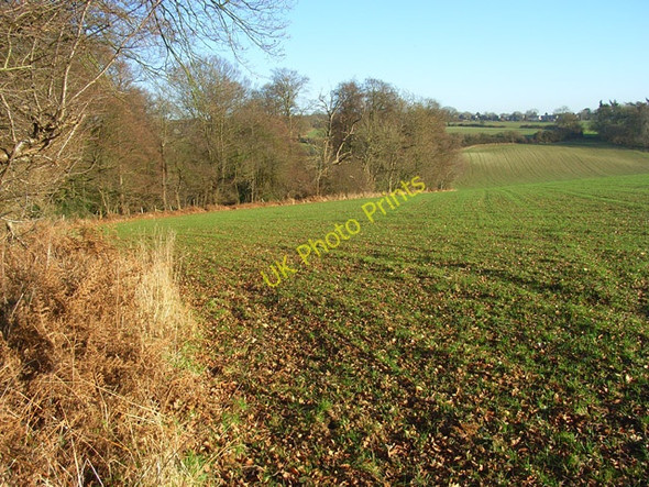 Photo 6"x4" Farmland and woodland edge, Nettlebed Huntercombe End c2008