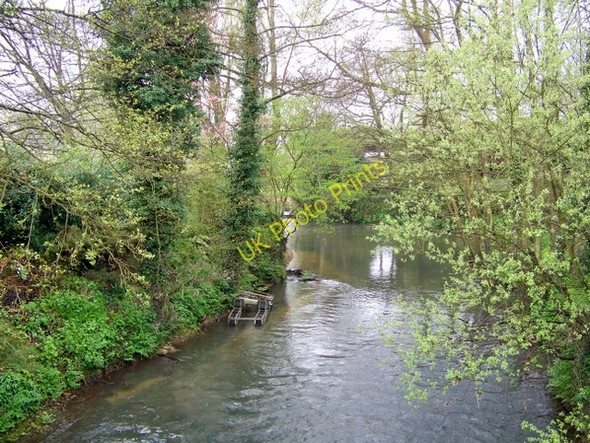 Photo 6"x4" River Rother, Iping Iping c2009