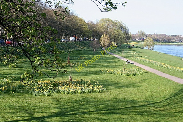 Photo 6"x4" Riverside Drive Kaimhill c2009