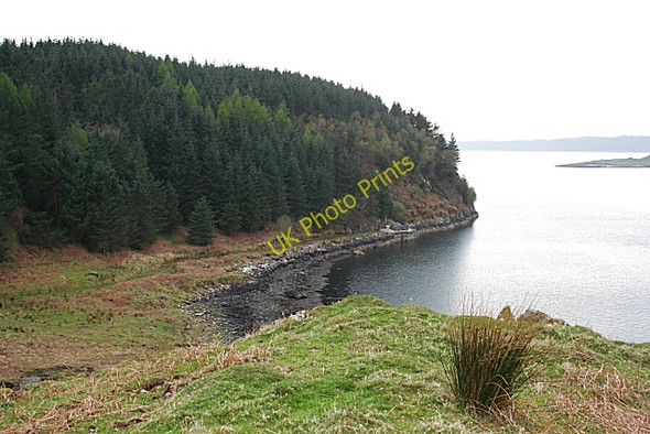 Photo 6"x4" Arduaine Point Arduaine c2009