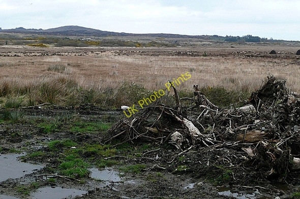 Photo 6"x4" Cnoc Garbh (Knockgarve) Moycullen c2009