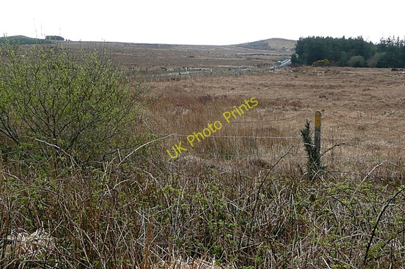 Photo 6"x4" Leamhchoill (Laughil) Moycullen c2009