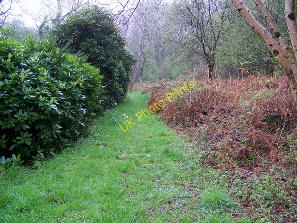 Photo 6"x4" Footpath, Redford Redford\/SU8626 c2009