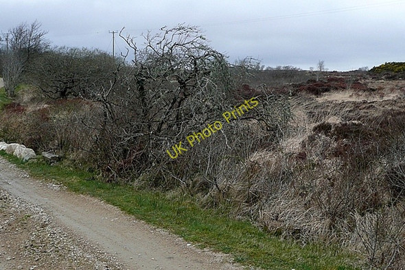 Photo 6"x4" An Cnoc (Knock) Spiddle c2009