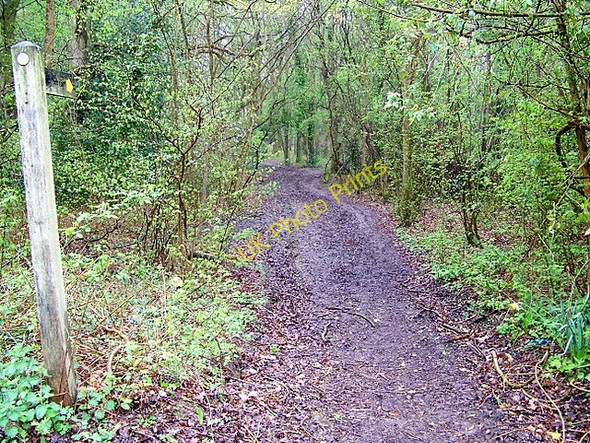 Photo 6"x4" Footpath, Redford Redford\/SU8626 c2009