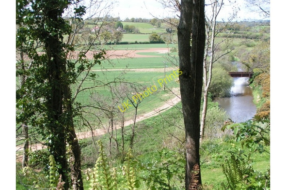 Photo 6"x4" River Otter, old railway bridge and fields near Tipton St John Tipton St John c2009