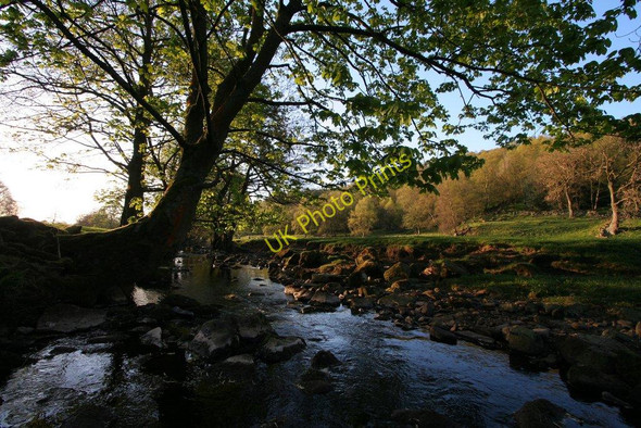 Photo 6"x4" Dean Beck, Newsholme Dean Goose Eye c2009