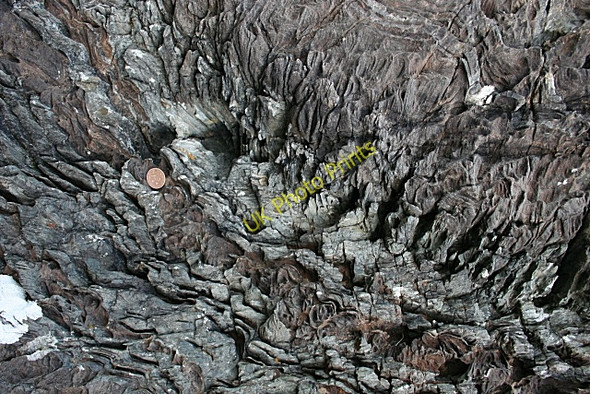 Photo 6"x4" Eroded Folds Arduaine c2009