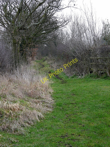 Photo 6"x4" Bridleway at end of Green Lane, Hamstall Ridware Sandborough c2009