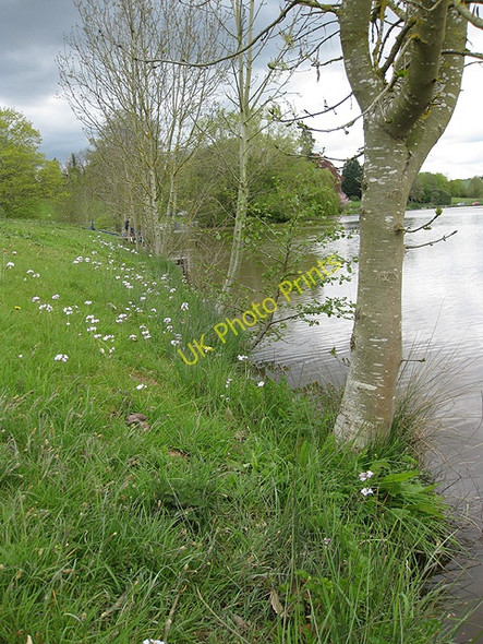 Photo 6"x4" Lakeside, Hartleton Water Shutton c2009