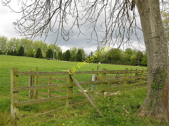 Photo 6"x4" Sheep pasture, Hartleton Farm Bromsash c2009