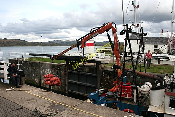 Photo 6"x4" Landing the Catch (1) Crinan c2009