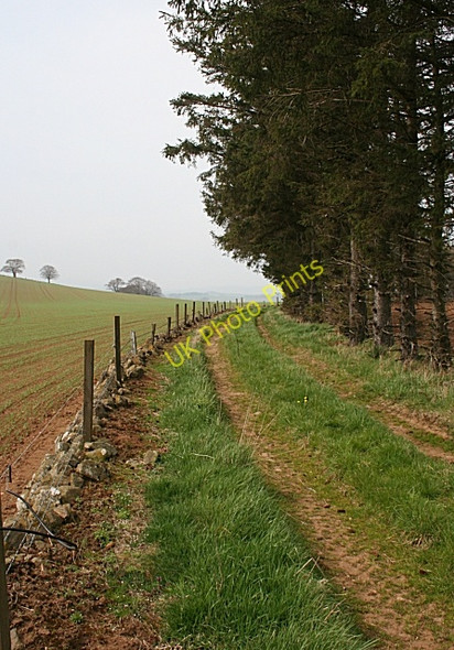 Photo 6"x4" Track on Hill of Johnston Duncanstone c2009