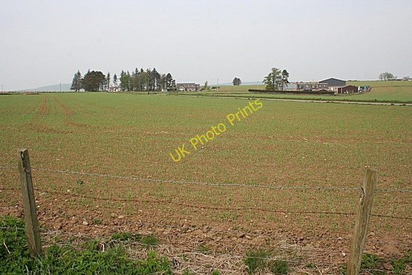 Photo 6"x4" Near Duncanstone Duncanstone c2009