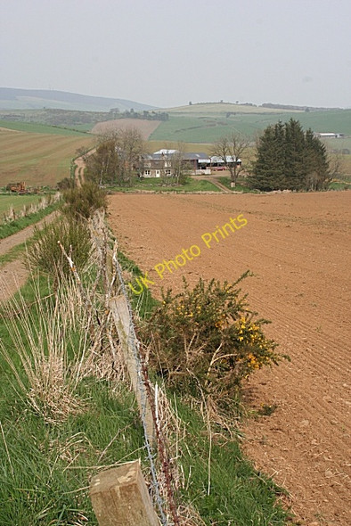 Photo 6"x4" New Flinder Duncanstone c2009