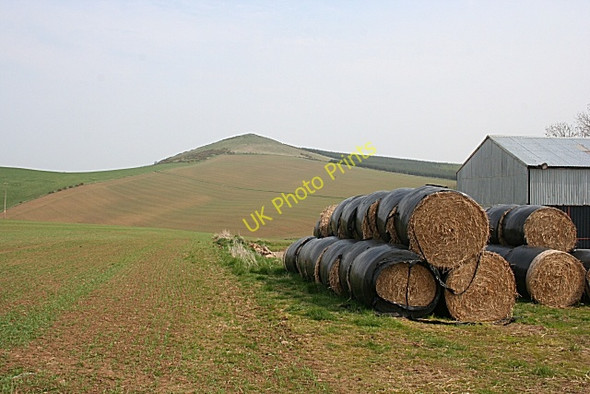 Photo 6"x4" New Flinder Duncanstone c2009