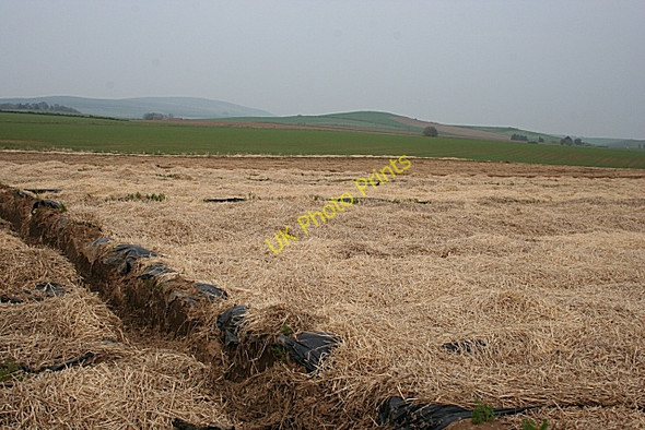 Photo 6"x4" Near Broadgate Duncanstone c2009