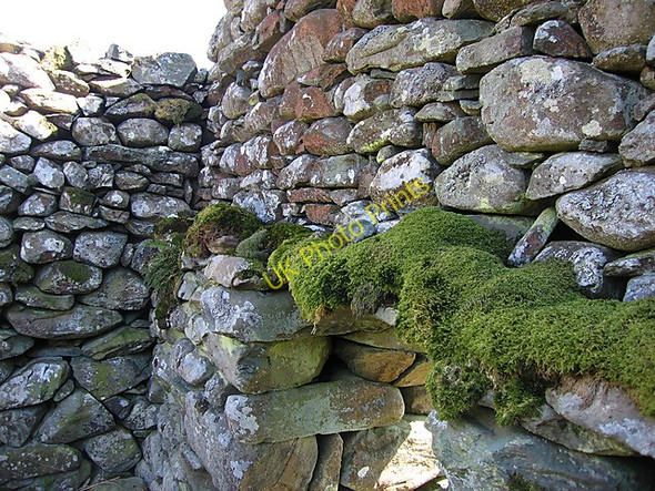 Photo 6"x4" Interior detail of a ruined farm building Nantcol c2009