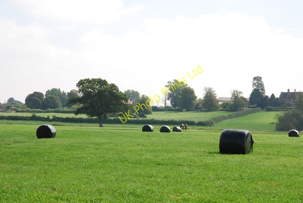 Photo 6"x4" Silage bales on farm near Fifehead Magdalen Hains c2007