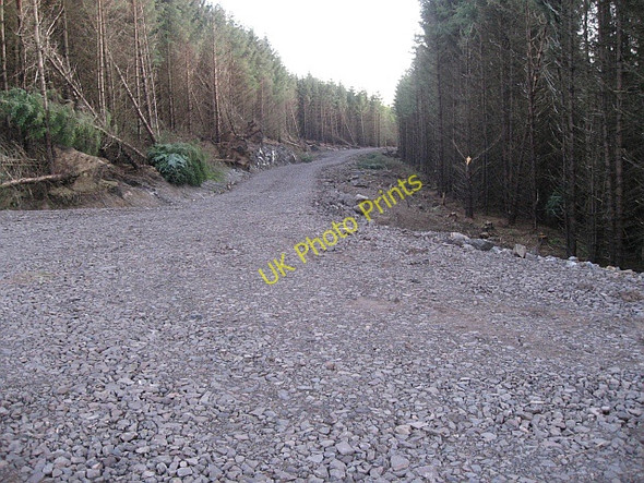 Photo 6"x4" New track Auchingree Burn c2009