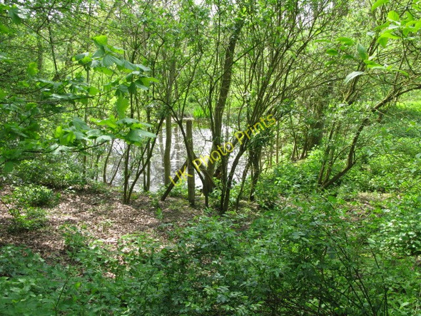 Photo 6"x4" Pond near the Stour Valley Walk Ripper's Cross c2009