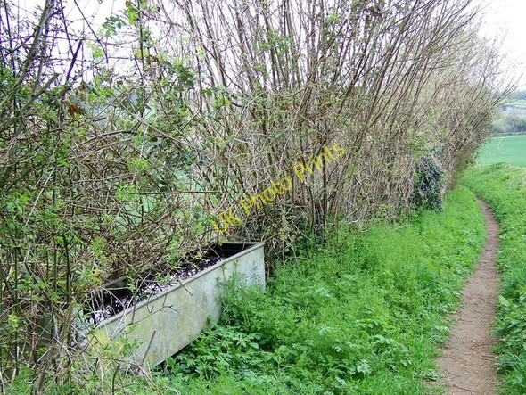 Photo 6"x4" Footpath near Breamore Breamore c2009