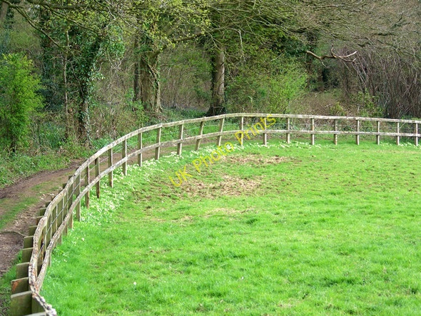Photo 6"x4" Bridleway, Whitsbury Flood Street c2009