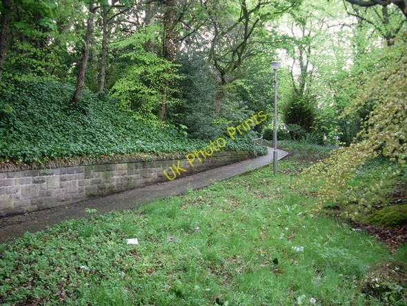 Photo 6"x4" Pathway through woods near Mount Vernon Station Broomhouse\/NS6662 c2009