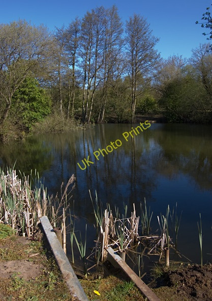 Photo 6"x4" Fishing pond, near Market Weighton Harswell c2009