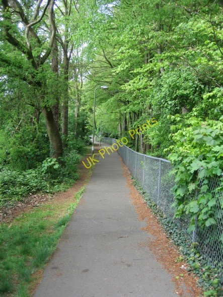 Photo 6"x4" Path to South Ham Road Basingstoke c2009