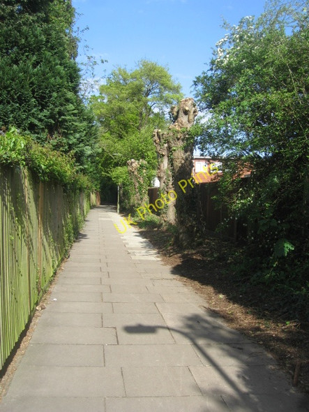 Photo 6"x4" Sunshine on the path Basingstoke c2009