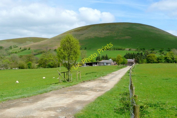 Photo 6"x4" View towards Trewern Llandegley c2009
