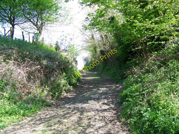 Photo 6"x4" Footpath near Old Dilton Westbury\/ST8650 c2009