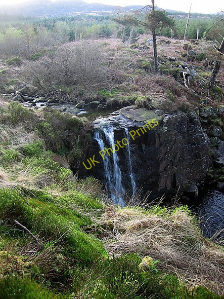 Photo 6"x4" Pistyll Gwyn Cwrt\/SH6829 c2009