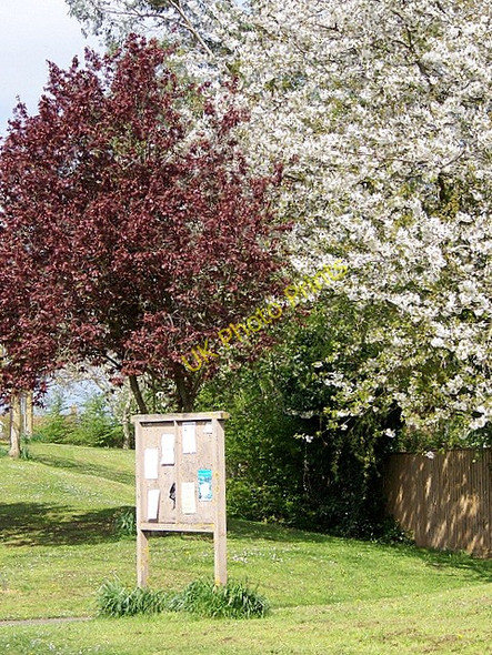 Photo 6"x4" Notice board, Dilton Marsh Westbury\/ST8650 c2009