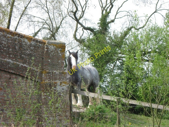 Photo 6"x4" I am Watching You Broughton\/SP8413 c2009