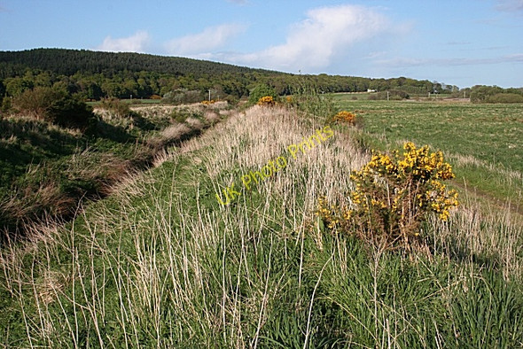 Photo 6"x4" Mosstowie Canal Miltonduff c2009