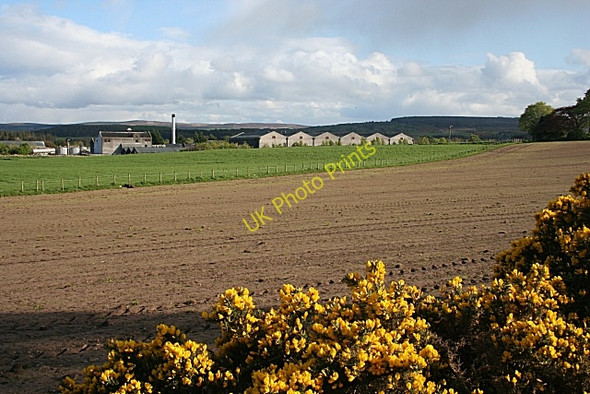 Photo 6"x4" Miltonduff Distillery Miltonduff c2009